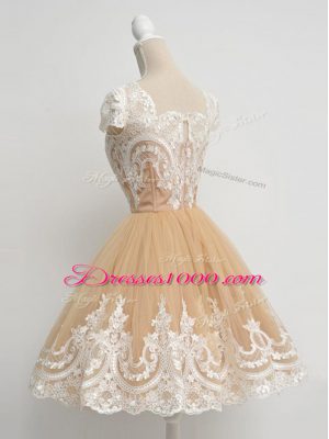 Smart Lavender Zipper Square Lace Dama Dress for Quinceanera Tulle 3 4 Length Sleeve