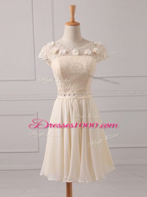 Wonderful Cap Sleeves Mini Length Lace and Appliques Lace Up Damas Dress with Champagne