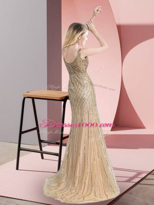 Flirting Straps Sleeveless Brush Train Zipper Dress for Prom Champagne Tulle