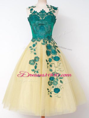 Sleeveless Tulle Knee Length Lace Up Quinceanera Court of Honor Dress in Gold with Appliques