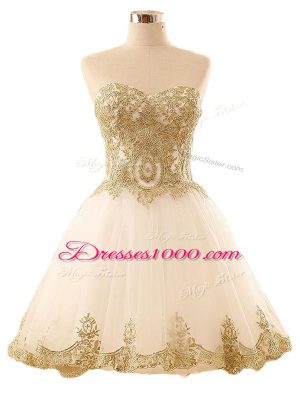 A-line Party Dress for Toddlers Champagne Sweetheart Tulle Sleeveless Mini Length Lace Up