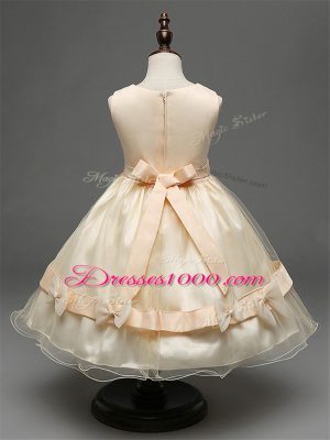 Extravagant Sleeveless Lace and Bowknot Zipper Toddler Flower Girl Dress