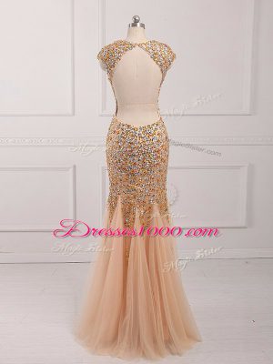 Spectacular V-neck Cap Sleeves Backless Prom Dress Champagne Tulle