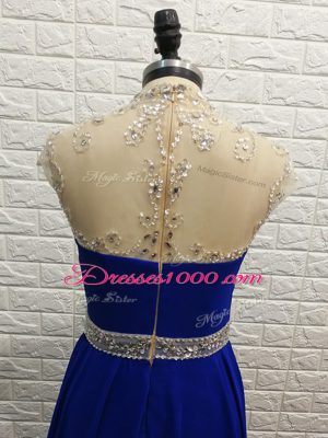 Luxurious Royal Blue Sleeveless Beading Zipper Celebrity Evening Dresses