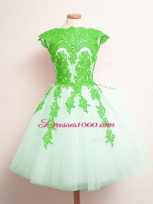 Mini Length A-line Sleeveless Multi-color Quinceanera Court of Honor Dress Lace Up