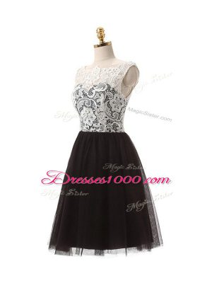 Black Sleeveless Lace and Appliques Mini Length