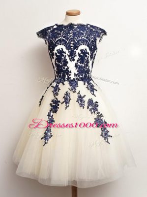 Fine Blue And White Tulle Lace Up Scalloped Sleeveless Mini Length Quinceanera Court of Honor Dress Appliques
