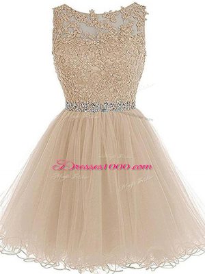 Traditional Champagne Sleeveless Tulle Zipper Party Dress for Prom and Party and Sweet 16