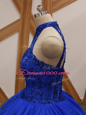 Halter Top Sleeveless Sweet 16 Quinceanera Dress Brush Train Appliques Royal Blue Tulle