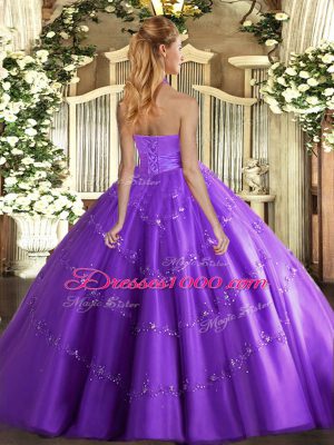 Tulle Halter Top Sleeveless Lace Up Appliques 15th Birthday Dress in Hot Pink