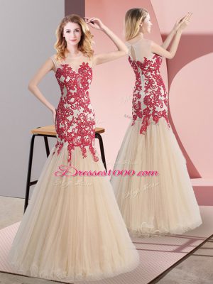 Custom Designed Champagne Tulle Zipper Party Dress Sleeveless Floor Length Appliques