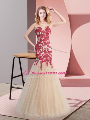 Custom Designed Champagne Tulle Zipper Party Dress Sleeveless Floor Length Appliques