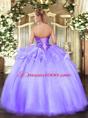 Ball Gowns Quinceanera Dress Light Blue Sweetheart Organza Sleeveless Floor Length Lace Up