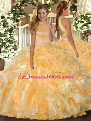 New Arrival Organza Sleeveless Floor Length Quince Ball Gowns and Beading and Ruffles