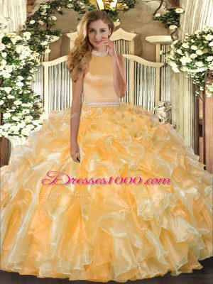 New Arrival Organza Sleeveless Floor Length Quince Ball Gowns and Beading and Ruffles