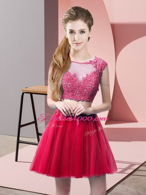 Latest Appliques Prom Dress Hot Pink Zipper Sleeveless Mini Length