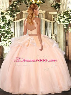 Simple Pink Organza Backless Halter Top Sleeveless Floor Length Ball Gown Prom Dress Beading