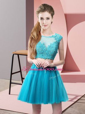 Baby Blue Sleeveless Tulle Zipper for Prom and Party