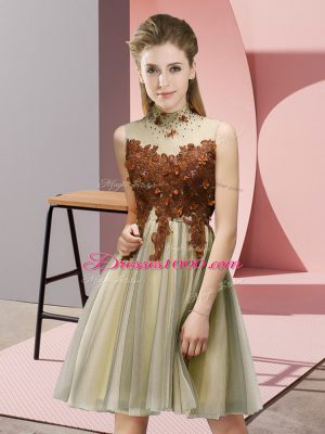 Gold Empire Appliques Dama Dress for Quinceanera Lace Up Tulle Sleeveless Knee Length