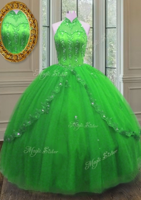 Noble Ball Gowns 15 Quinceanera Dress High-neck Tulle Sleeveless Floor Length Lace Up