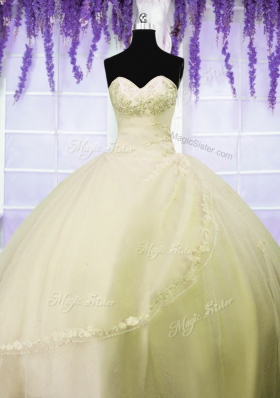 Sleeveless Lace Up Floor Length Appliques Quince Ball Gowns