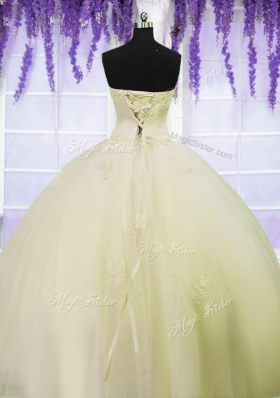 Sleeveless Lace Up Floor Length Appliques Quince Ball Gowns