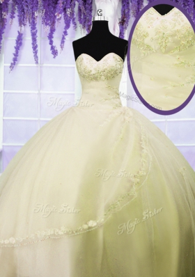 Sleeveless Lace Up Floor Length Appliques Quince Ball Gowns