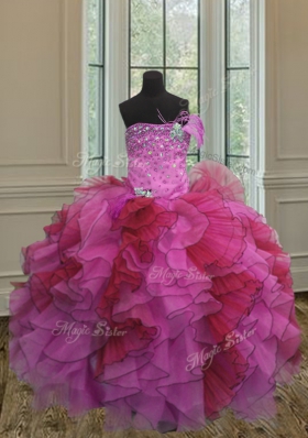 Modern Floor Length Multi-color Sweet 16 Quinceanera Dress Organza Sleeveless Beading and Ruffles