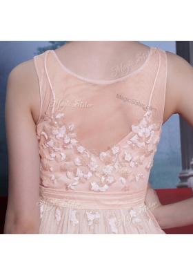 Sumptuous Baby Pink Column/Sheath Chiffon Scoop Sleeveless Lace Floor Length Side Zipper Dress for Prom