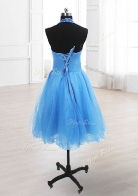 Dramatic Baby Blue A-line Organza High-neck Sleeveless Sequins Knee Length Lace Up Homecoming Dress Online