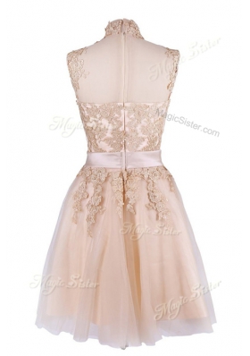 Sleeveless Tulle Knee Length Zipper in Champagne for with Appliques