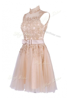 Sleeveless Tulle Knee Length Zipper in Champagne for with Appliques