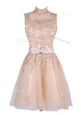 Sleeveless Tulle Knee Length Zipper in Champagne for with Appliques