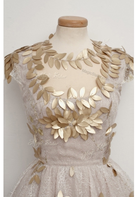 Attractive Ball Gowns Prom Party Dress Champagne High-neck Tulle Cap Sleeves Tea Length Zipper