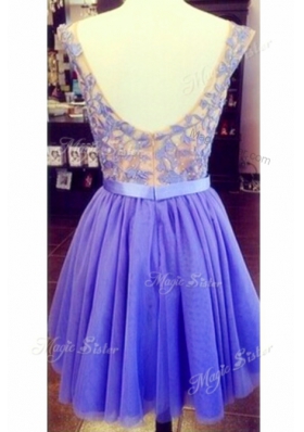 Cheap Lace Lavender Scoop Zipper Appliques Prom Party Dress Sleeveless