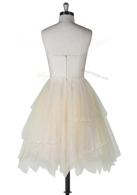 Sophisticated A-line Prom Dresses Champagne Strapless Tulle Sleeveless Knee Length Zipper