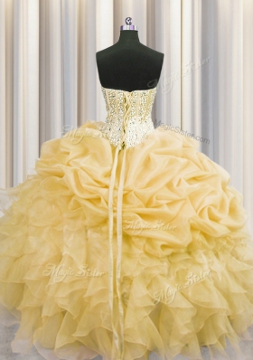 Visible Boning Organza Sleeveless Floor Length Quinceanera Dress and Beading and Ruffles