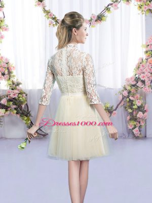 Half Sleeves Bowknot Lace Up Quinceanera Court Dresses