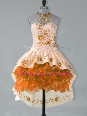 Elegant Sleeveless Lace Up High Low Embroidery and Ruffles Hoco Dress