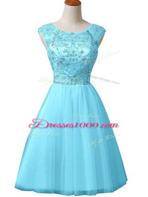 Baby Blue Sleeveless Tulle Zipper Homecoming Party Dress for Prom and Party and Military Ball