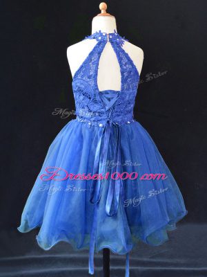 Mini Length A-line Sleeveless Blue Flower Girl Dresses for Less Lace Up