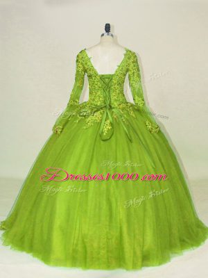 Ball Gowns Quince Ball Gowns Olive Green V-neck Tulle Long Sleeves Side Zipper