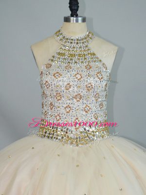 Fashion Floor Length Ball Gowns Sleeveless Champagne Quinceanera Gown Lace Up