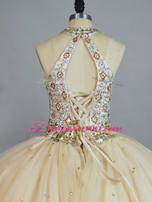 Fashion Floor Length Ball Gowns Sleeveless Champagne Quinceanera Gown Lace Up
