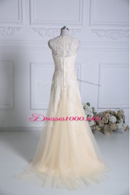 Champagne Column/Sheath Tulle V-neck Sleeveless Lace and Appliques Zipper Homecoming Dress Brush Train