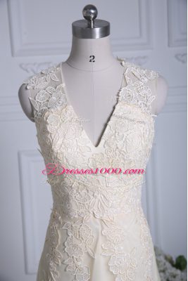 Champagne Column/Sheath Tulle V-neck Sleeveless Lace and Appliques Zipper Homecoming Dress Brush Train