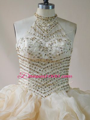 Floor Length Champagne Quinceanera Gowns Organza Sleeveless Beading and Ruffles