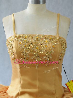 Appliques Ball Gown Prom Dress Gold Lace Up Sleeveless Floor Length