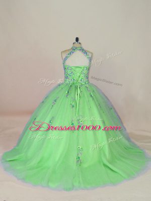 Quinceanera Dress Tulle Brush Train Sleeveless Appliques and Embroidery