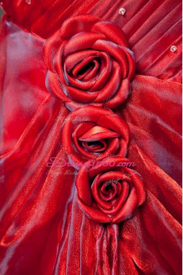 Sleeveless Floor Length Lace Up Sweet 16 Quinceanera Dress in Red with Beading